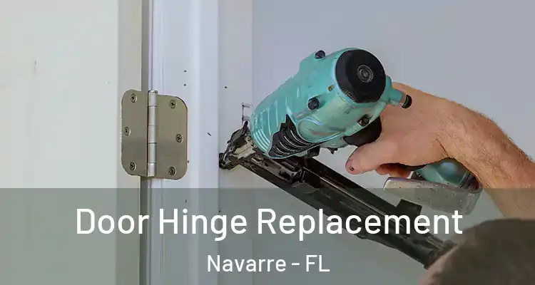 Door Hinge Replacement Navarre - FL