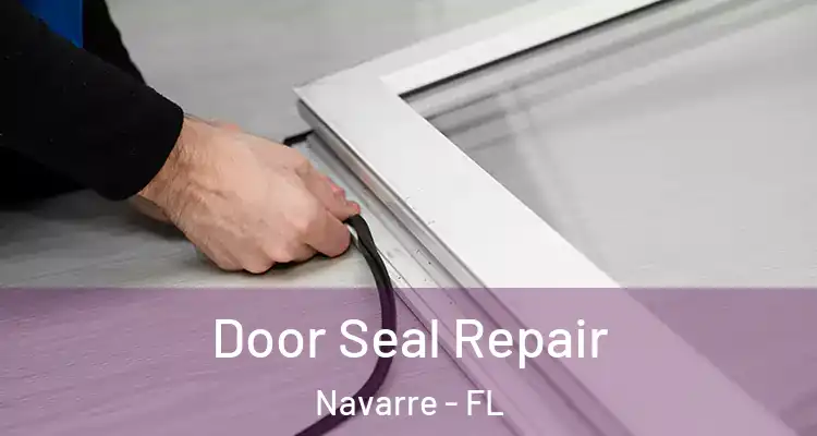 Door Seal Repair Navarre - FL