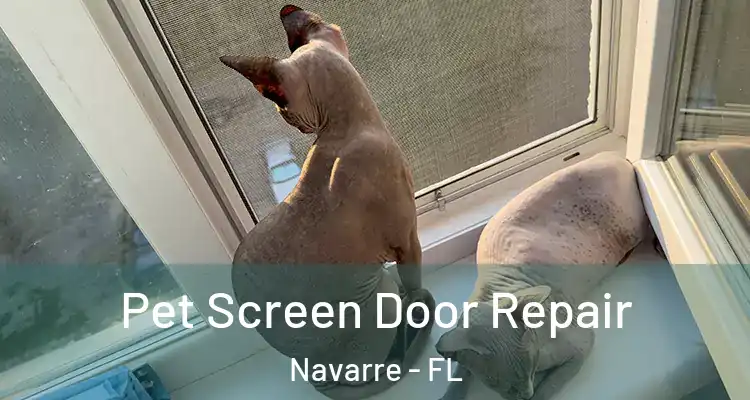Pet Screen Door Repair Navarre - FL